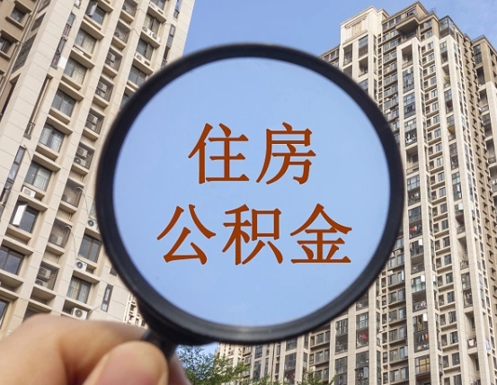 海丰退休后查不到公积金明细了吗（退休后公积金查询不到原因）